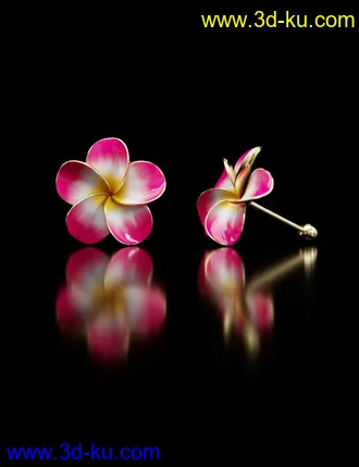 3D打印模型Plumeria Earrings for Genesis 8 and Genesis 3 Female的图片