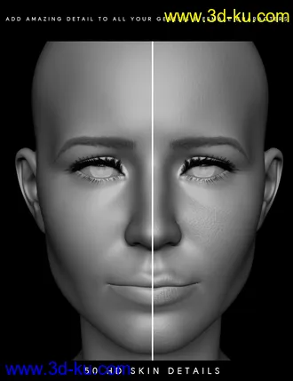 3D打印模型Porefectionist HD Skin Details for Genesis 8 Females的图片
