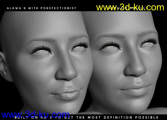 Porefectionist HD Skin Details for Genesis 8 Females模型的图片3