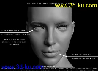 3D打印模型Porefectionist HD Skin Details for Genesis 8 Females的图片