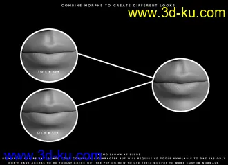 3D打印模型Porefectionist HD Skin Details for Genesis 8 Females的图片