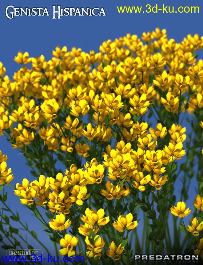 Predatron Genista Hispanica模型的图片1