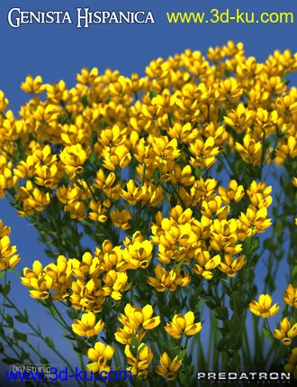 3D打印模型Predatron Genista Hispanica的图片