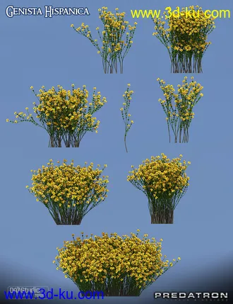 3D打印模型Predatron Genista Hispanica的图片