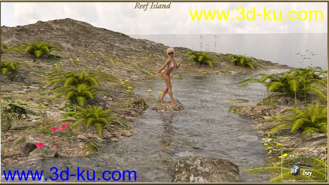 PW Reef Island模型的图片6