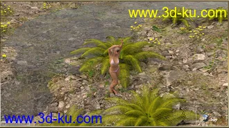 3D打印模型PW Reef Island的图片