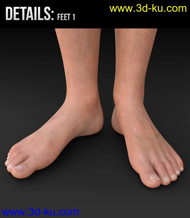 Ravna HD for Genesis 8 Female模型的图片8