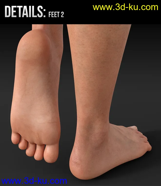 Ravna HD for Genesis 8 Female模型的图片9