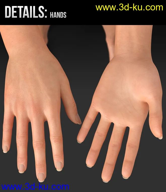 Ravna HD for Genesis 8 Female模型的图片11