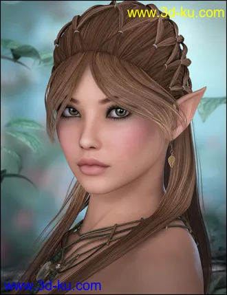 3D打印模型Rhayvaen Bundle的图片