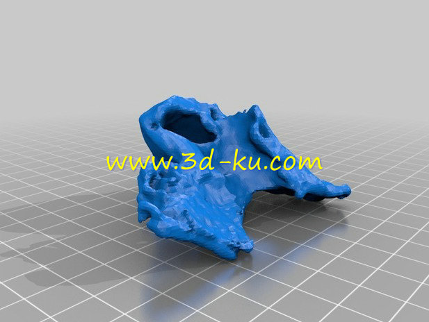 头骨解剖模型的图片1