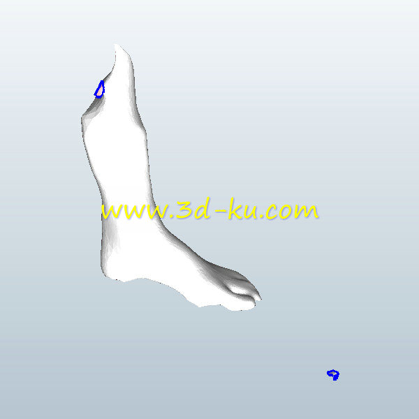 脚踝固定器模型的图片1