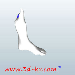 3D打印模型脚踝固定器的图片