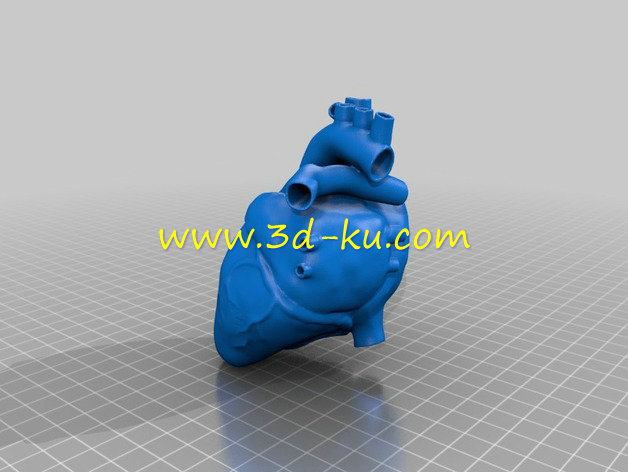 心脏模型的图片2