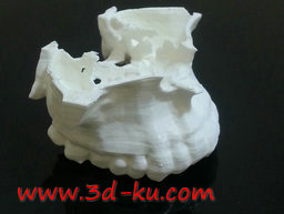 3D打印模型人体的上颌骨的图片