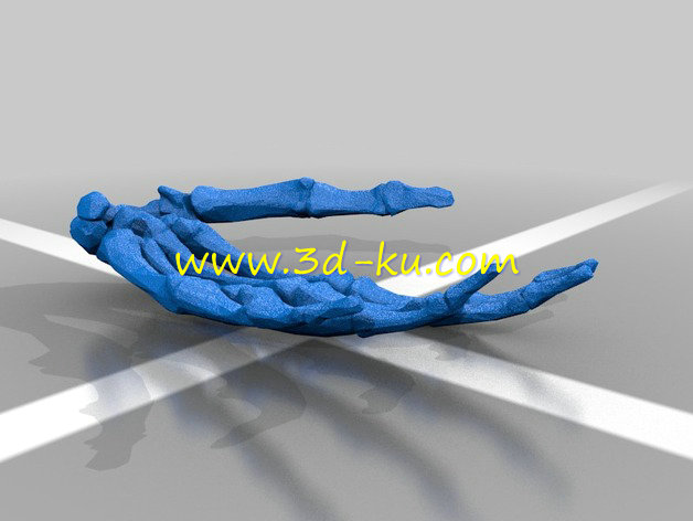 左手骨骼模型的图片1