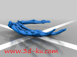 3D打印模型左手骨骼的图片