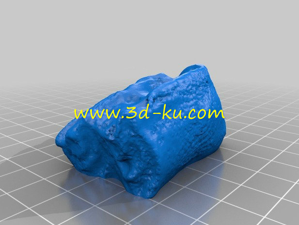 牛齿模型的图片1