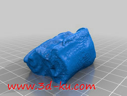 3D打印模型牛齿的图片