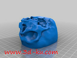 3D打印模型个性的头骨的图片