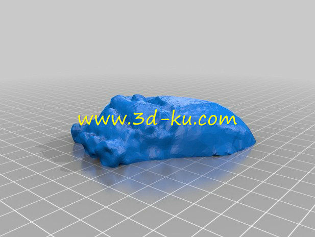 心脏解剖结构模型的图片1