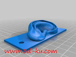3D打印模型双耳记录耳的图片