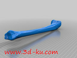 3D打印模型右腿的长骨头的图片