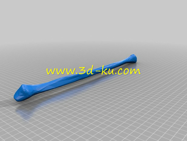 右腿的长骨头模型的图片3