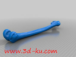 3D打印模型右腿的长骨头的图片
