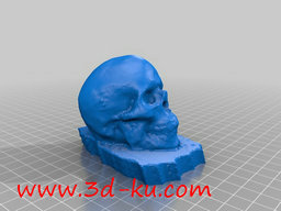 3D打印模型人类头骨的图片