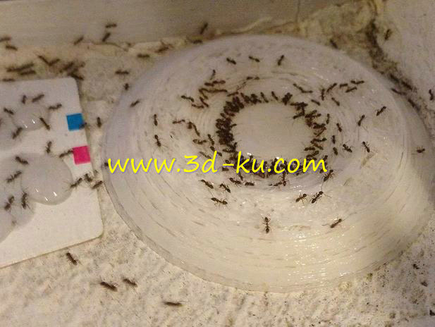 用来消灭家里讨厌的蚂模型的图片1