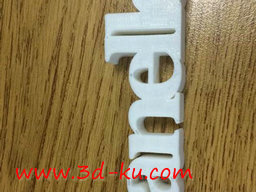 3D打印模型Danelle 3D的图片