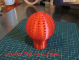 3D打印模型水培技术微系统的泡沫的图片