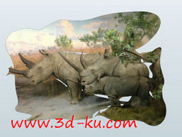 3D打印模型在纽约自然历史博物馆的图片