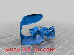 3D打印模型在纽约自然历史博物馆的图片
