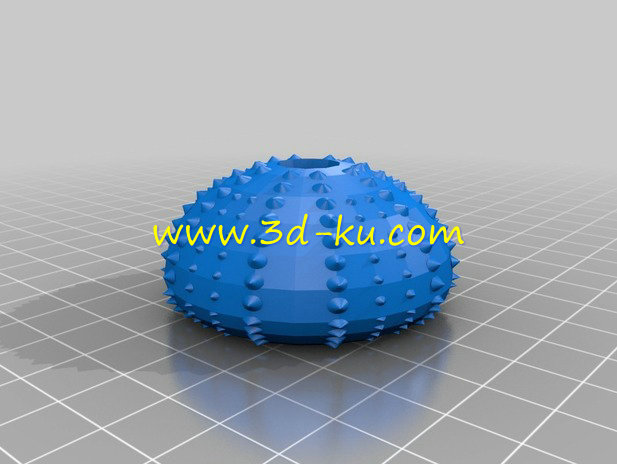 来自海洋的无脊椎动物模型的图片2