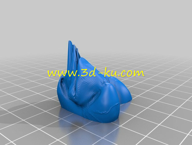 海洋中的活化石鹦鹉螺模型的图片2