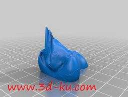 3D打印模型海洋中的活化石鹦鹉螺的图片