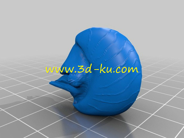 海洋中的活化石鹦鹉螺模型的图片3