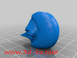 3D打印模型海洋中的活化石鹦鹉螺的图片