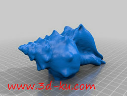 3D打印模型贝壳，听听海的声音的图片