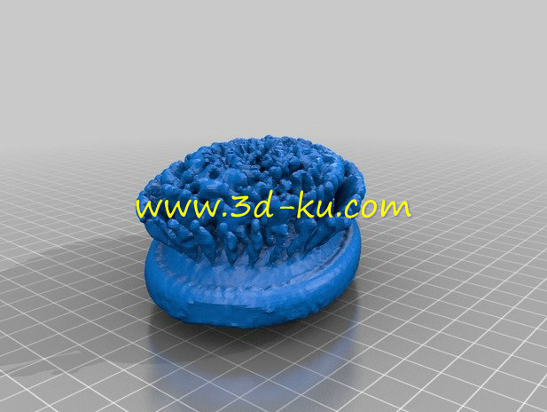 可以用来按摩头部的圆模型的图片2