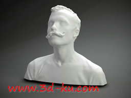 3D打印模型莱西希半身像的图片
