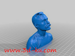 3D打印模型莱西希半身像的图片