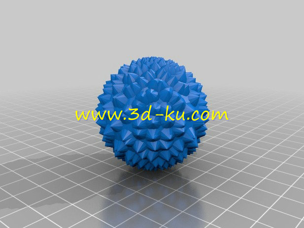 无脊椎动物模型的图片2