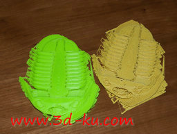 3D打印模型三叶虫的图片