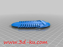 3D打印模型三叶虫的图片