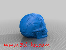 3D打印模型玛雅人头骨的图片