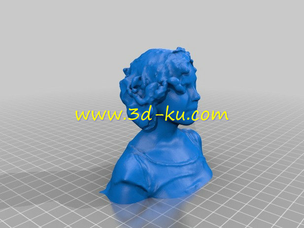 凯伦绍尔科普夫半身像模型的图片2