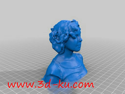 3D打印模型凯伦绍尔科普夫半身像的图片